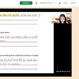 Everloop Improvement System
