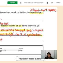 Everloop Improvement System
