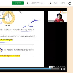 Everloop Improvement System