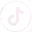 tiktok icon